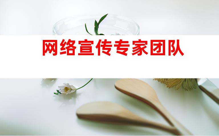 网络宣传专家团队