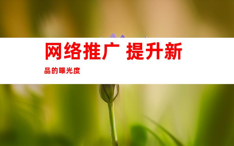 网络推广 提升新品的曝光度