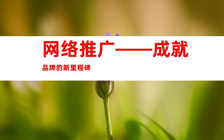 网络推广——成就品牌的新里程碑