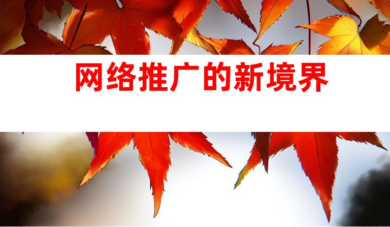 网络推广的新境界