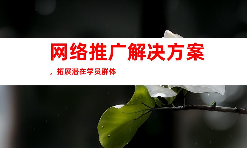 网络推广解决方案，拓展潜在学员群体