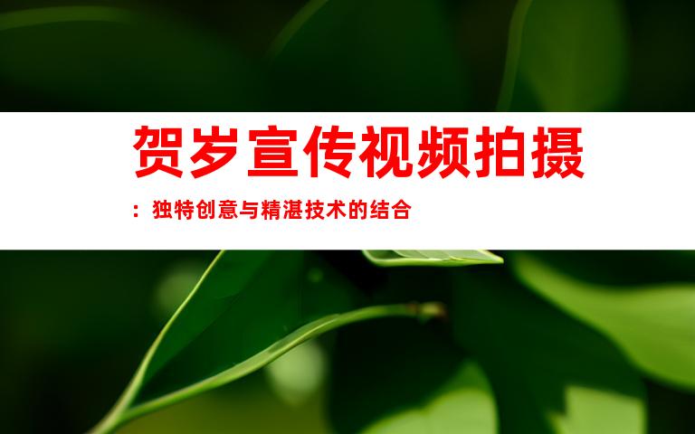 贺岁宣传视频拍摄：独特创意与精湛技术的结合