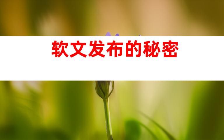 软文发布的秘密