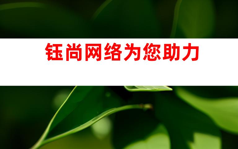 钰尚网络为您助力