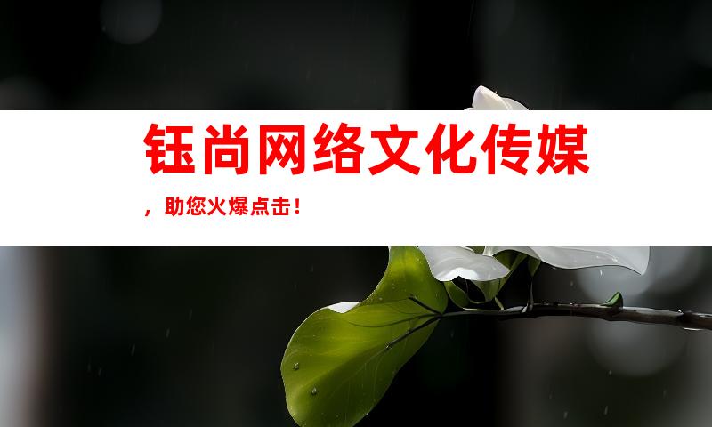 钰尚网络文化传媒，助您火爆点击！