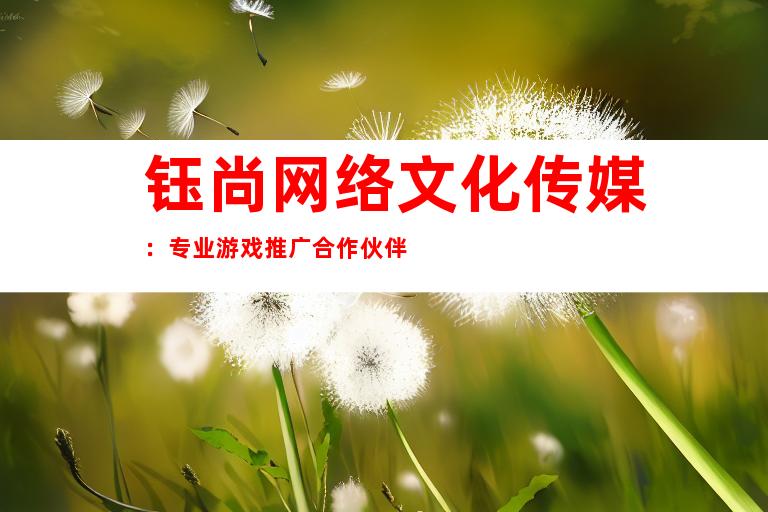 钰尚网络文化传媒：专业游戏推广合作伙伴