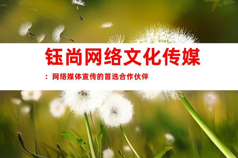 钰尚网络文化传媒：网络媒体宣传的首选合作伙伴