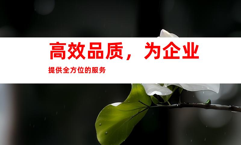 高效品质，为企业提供全方位的服务