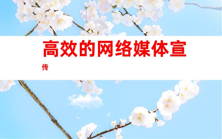 高效的网络媒体宣传