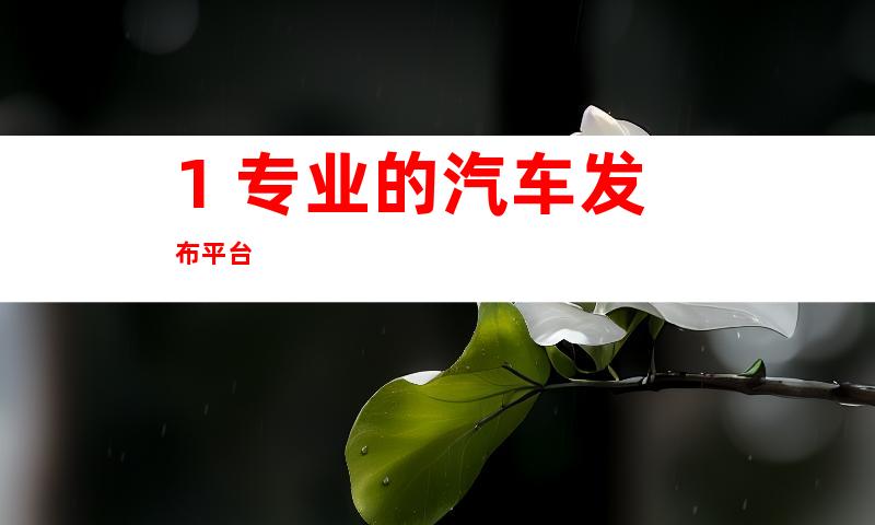 1. 专业的汽车发布平台