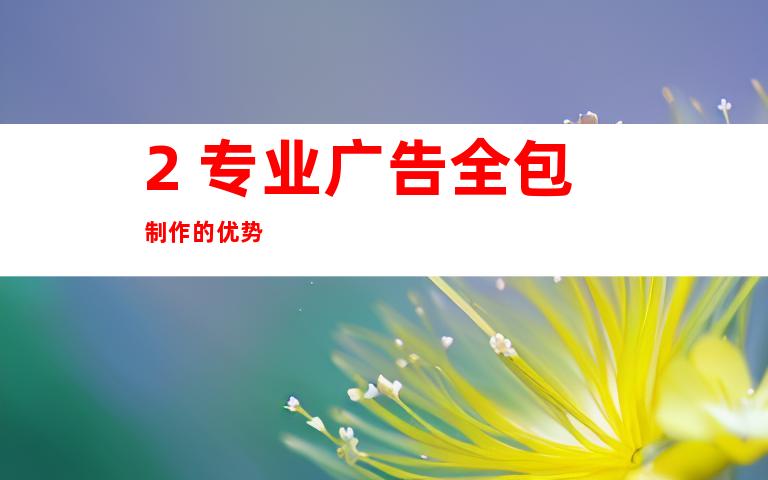 2. 专业广告全包制作的优势