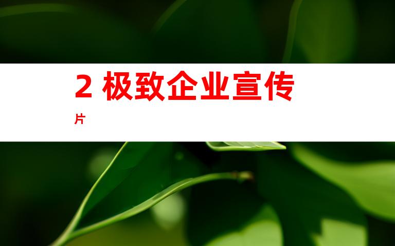 2. 极致企业宣传片