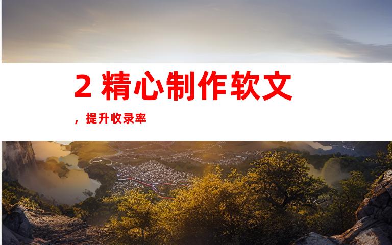 2. 精心制作软文，提升收录率