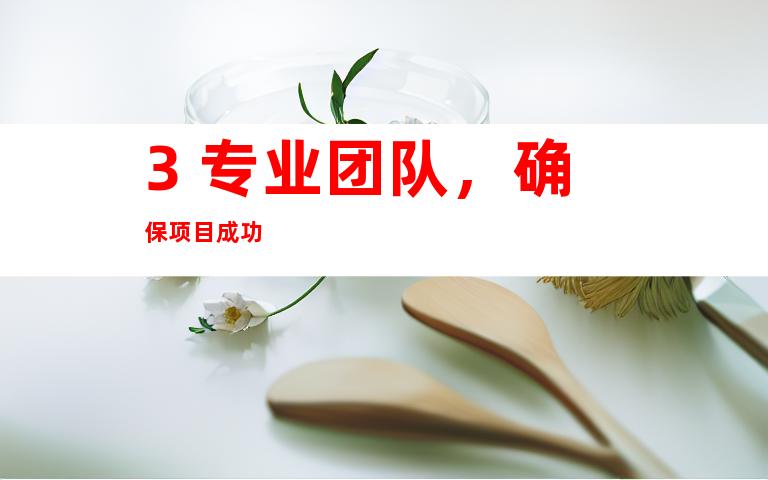 3. 专业团队，确保项目成功