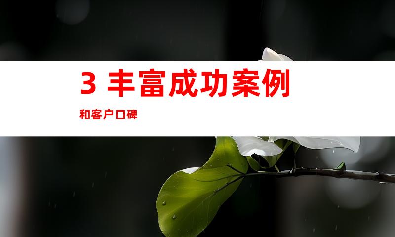 3. 丰富成功案例和客户口碑