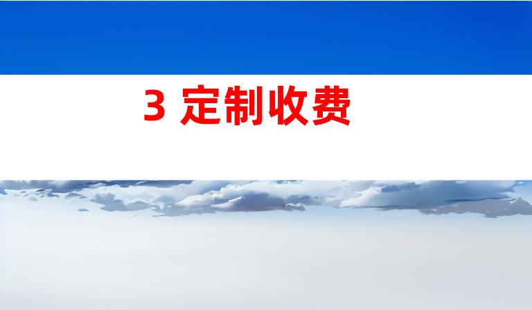 3. 定制收费