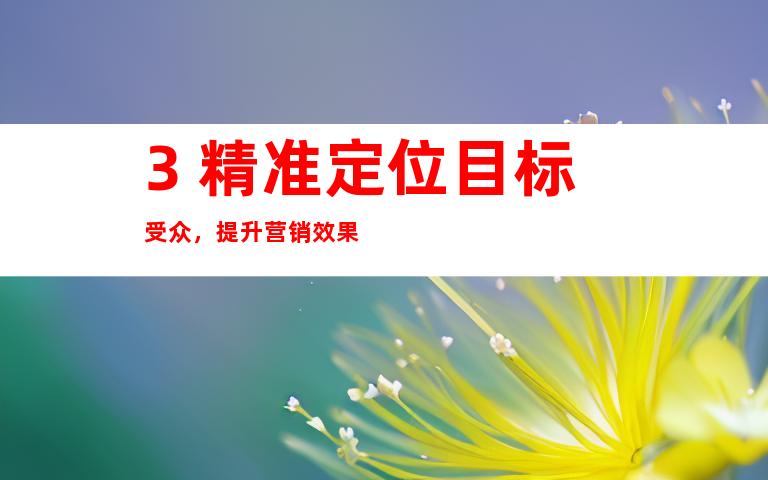 3. 精准定位目标受众，提升营销效果