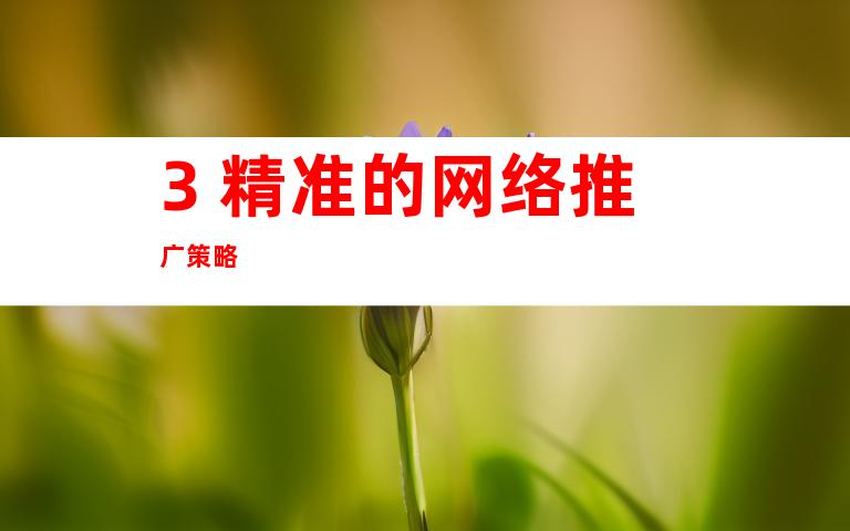 3. 精准的网络推广策略