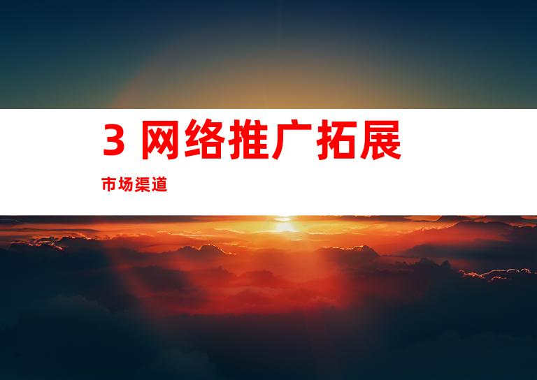 3. 网络推广拓展市场渠道