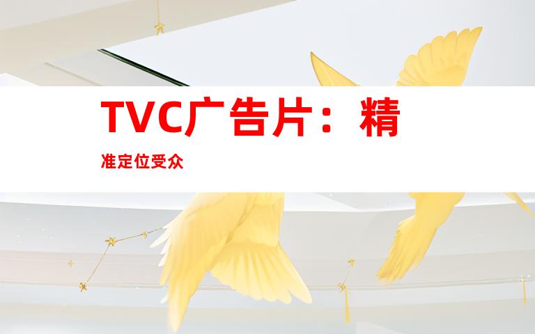 TVC广告片：精准定位受众